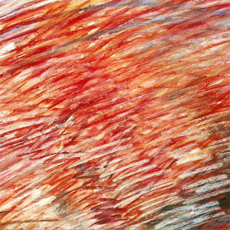 pastel, gemengde technieken op papier - detail