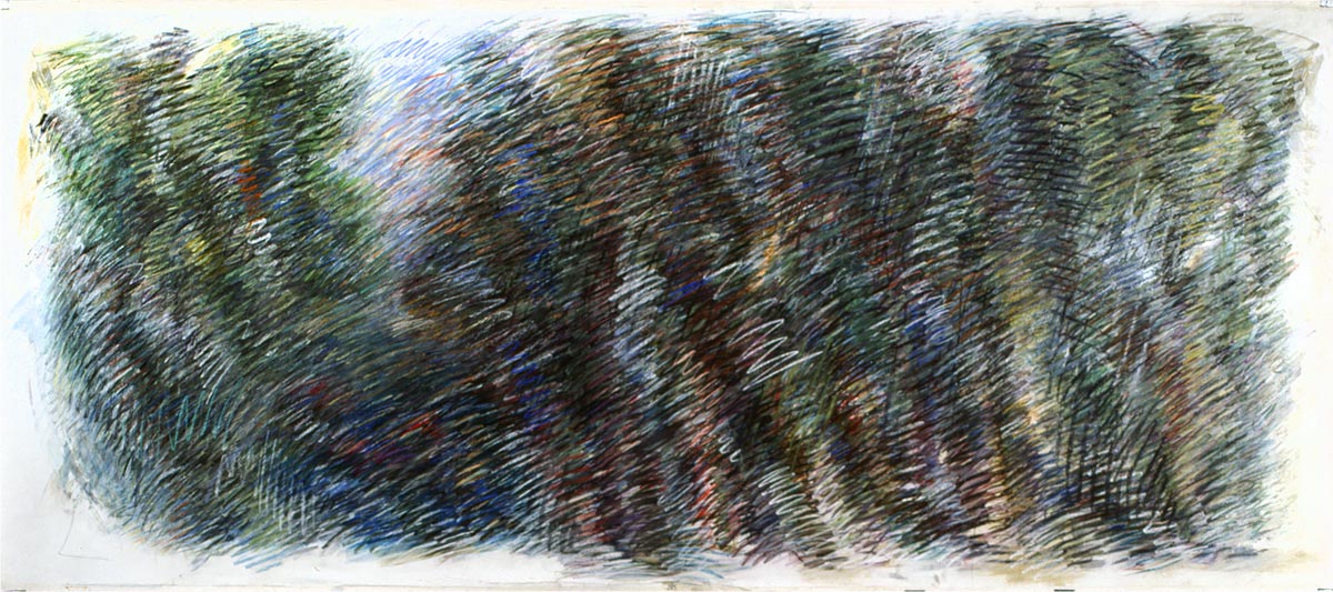 Hoogwater voor zonsondergang / uiterwaarden