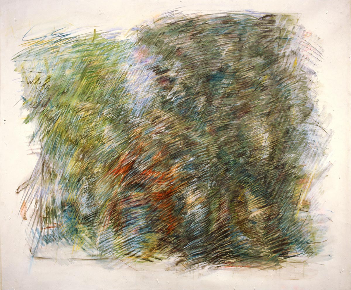 Hoogwater voor zonsondergang / uiterwaarden